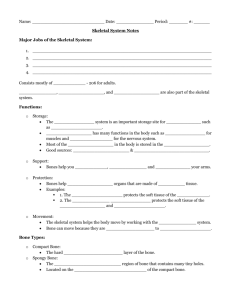 Name: Date: Period: ______ #: ______ Skeletal System Notes