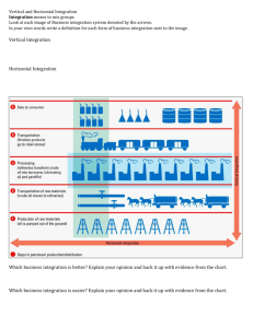 1 Vertical and Horizontal Integration helpers.doc