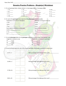 Genetics Practice Problems – Simple(er) Worksheet