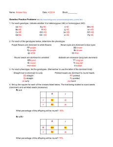 Genetics Practice Answer Key