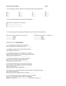 Simple Genetics Practice Problems