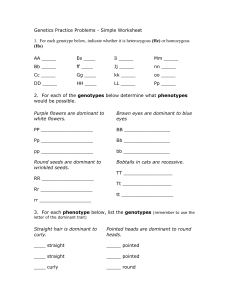 Genetics Practice Problems