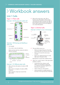 Lower Secondary Science 7 workbook answers